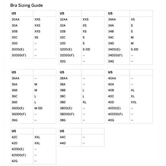 VS Luxe Dream Angels Silk Multi Color Floral Appliqué Celeb Corset 32C EUC - Picture 13 of 16